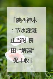 陕西神木：节水灌溉正当时 良田“解渴”促丰收