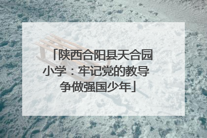 陕西合阳县天合园小学：牢记党的教导 争做强国少年
