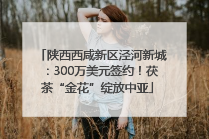 陕西西咸新区泾河新城：300万美元签约！茯茶“金花”绽放中亚