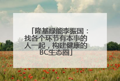 隆基绿能李振国：找各个环节有本事的人一起，构建健康的BC生态圈