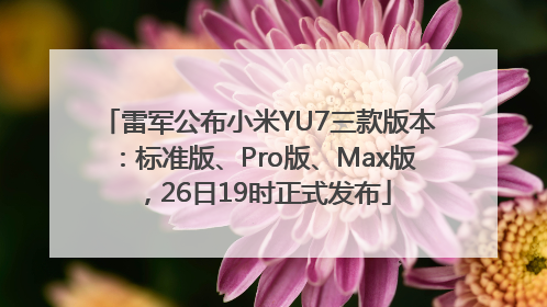 雷军公布小米YU7三款版本：标准版、Pro版、Max版，26日19时正式发布