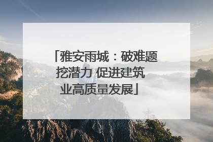 雅安雨城：破难题 挖潜力 促进建筑业高质量发展