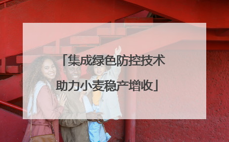 集成绿色防控技术助力小麦稳产增收
