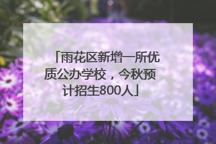 雨花区新增一所优质公办学校，今秋预计招生800人