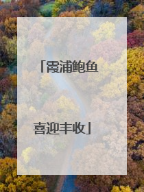 霞浦鲍鱼喜迎丰收