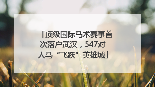 顶级国际马术赛事首次落户武汉，547对人马“飞跃”英雄城
