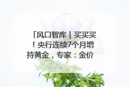 风口智库｜买买买！央行连续7个月增持黄金，专家：金价或仍易涨难跌