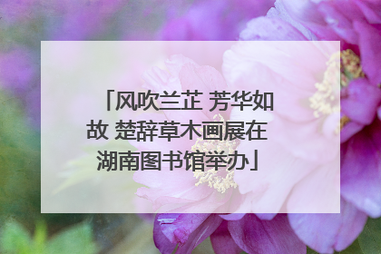 风吹兰芷 芳华如故 楚辞草木画展在湖南图书馆举办