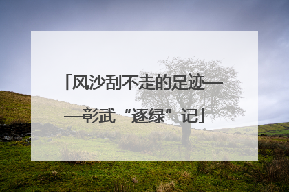 风沙刮不走的足迹——彰武“逐绿”记