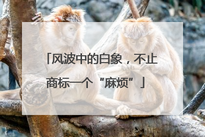 风波中的白象，不止商标一个“麻烦”