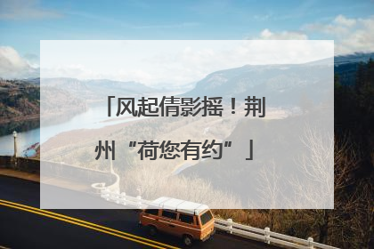 风起倩影摇！荆州“荷您有约”