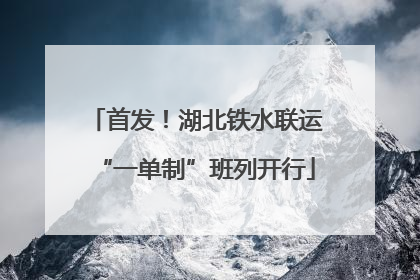 首发！湖北铁水联运“一单制”班列开行