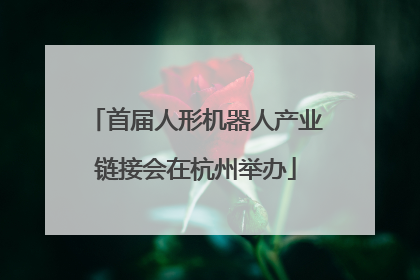 首届人形机器人产业链接会在杭州举办
