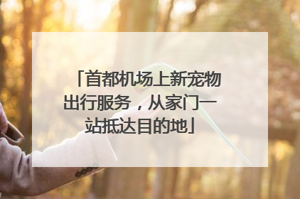 首都机场上新宠物出行服务，从家门一站抵达目的地
