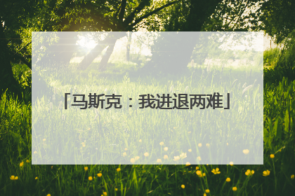 马斯克：我进退两难