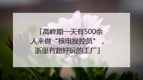 高峰期一天有500余人来做“核电操控员”，浙里有超好玩的工厂
