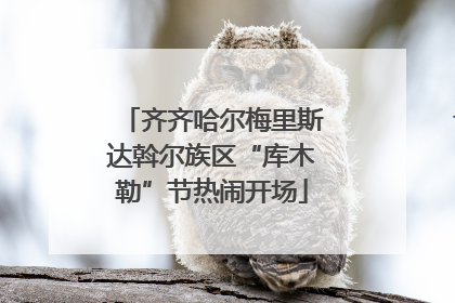 齐齐哈尔梅里斯达斡尔族区“库木勒”节热闹开场