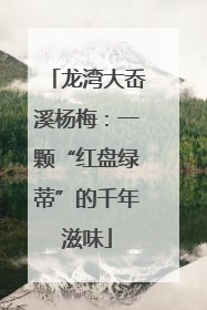 龙湾大岙溪杨梅：一颗“红盘绿蒂”的千年滋味