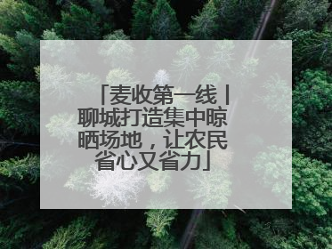 麦收第一线丨聊城打造集中晾晒场地，让农民省心又省力