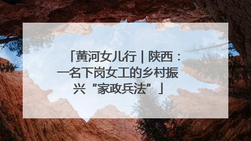 黄河女儿行｜陕西：一名下岗女工的乡村振兴“家政兵法”