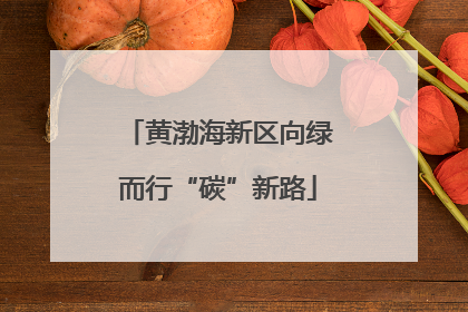 黄渤海新区向绿而行“碳”新路