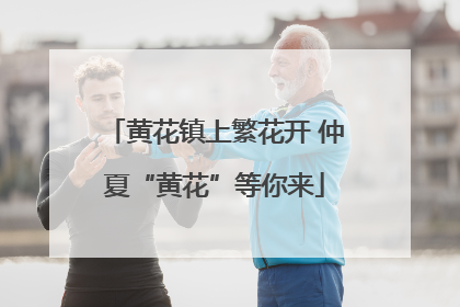 黄花镇上繁花开 仲夏“黄花”等你来