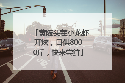 黄陂头茬小龙虾开炫，日供8000斤，快来尝鲜