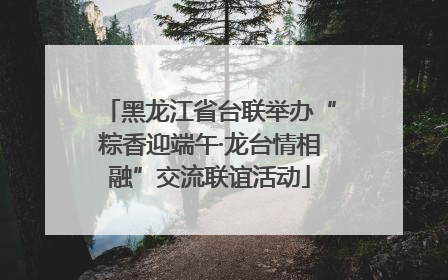 黑龙江省台联举办“粽香迎端午·龙台情相融”交流联谊活动