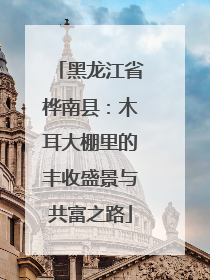黑龙江省桦南县：木耳大棚里的丰收盛景与共富之路