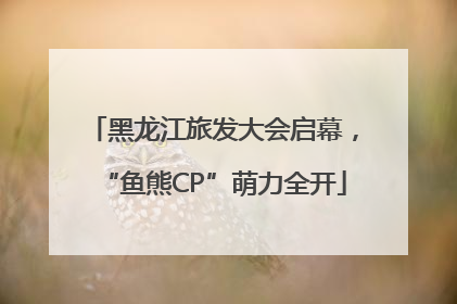 黑龙江旅发大会启幕，“鱼熊CP”萌力全开