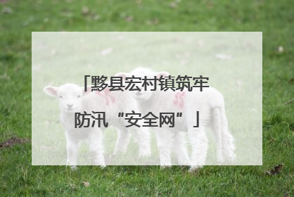 黟县宏村镇筑牢防汛“安全网”