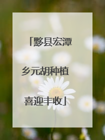黟县宏潭乡元胡种植喜迎丰收