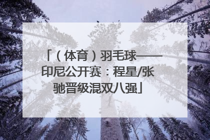（体育）羽毛球——印尼公开赛：程星/张驰晋级混双八强