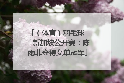 （体育）羽毛球——新加坡公开赛：陈雨菲夺得女单冠军