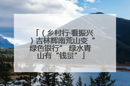 （乡村行·看振兴）吉林辉南荒山变“绿色银行” 绿水青山有“钱景”