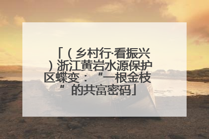 （乡村行·看振兴）浙江黄岩水源保护区蝶变：“一根金枝”的共富密码