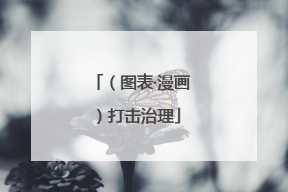 （图表·漫画）打击治理