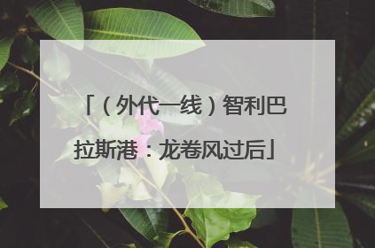 （外代一线）智利巴拉斯港：龙卷风过后