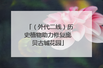 （外代二线）历史植物助力修复庞贝古城花园