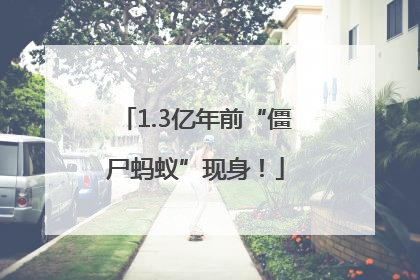 1.3亿年前“僵尸蚂蚁”现身！