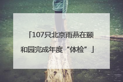 107只北京雨燕在颐和园完成年度“体检”