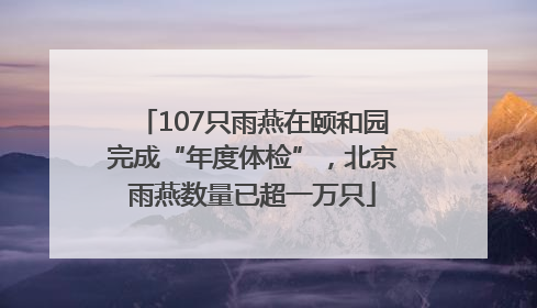 107只雨燕在颐和园完成“年度体检”，北京雨燕数量已超一万只