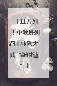 11万列！中欧班列跑出亚欧大陆“新时速”