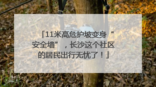 11米高危护坡变身“安全墙”，长沙这个社区的居民出行无忧了！