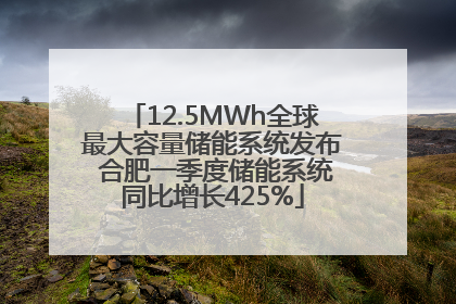 12.5MWh全球最大容量储能系统发布 合肥一季度储能系统同比增长425%