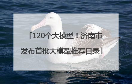 120个大模型！济南市发布首批大模型推荐目录