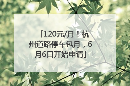 120元/月！杭州道路停车包月，6月6日开始申请