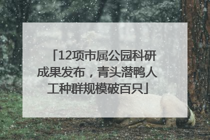 12项市属公园科研成果发布，青头潜鸭人工种群规模破百只