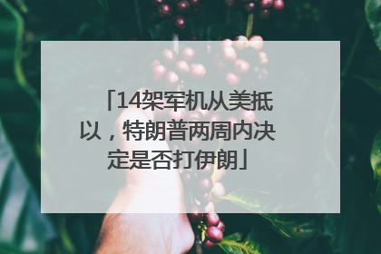 14架军机从美抵以，特朗普两周内决定是否打伊朗