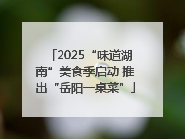 2025“味道湖南”美食季启动 推出“岳阳一桌菜”